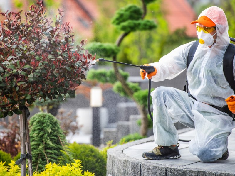 Zile Haşere İlaçlama